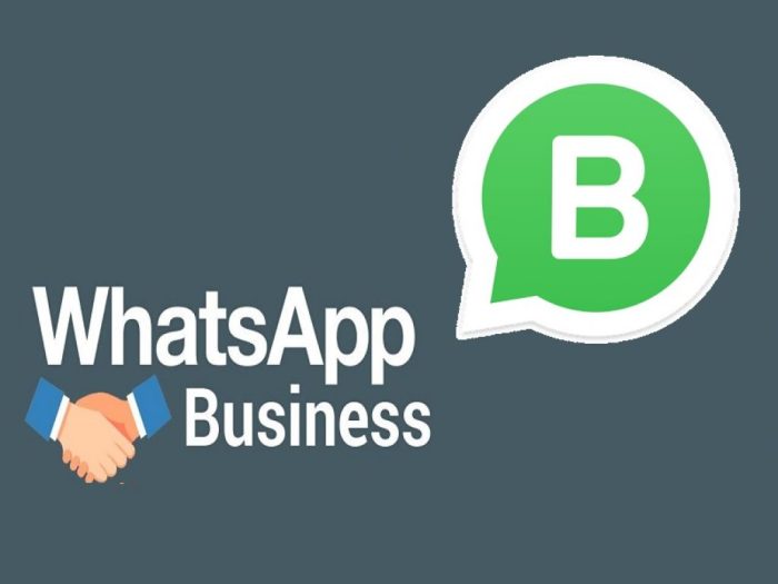 Fitur fiturnya mengenal aplikasi Whatsapp business hubspot