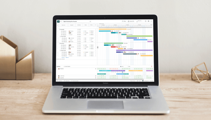 Mac project management software