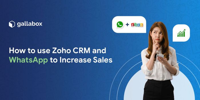 Zoho whatsapp