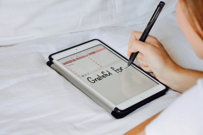 Best digital journal for ipad