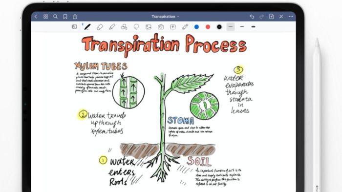 Best ipad journal app apple pencil