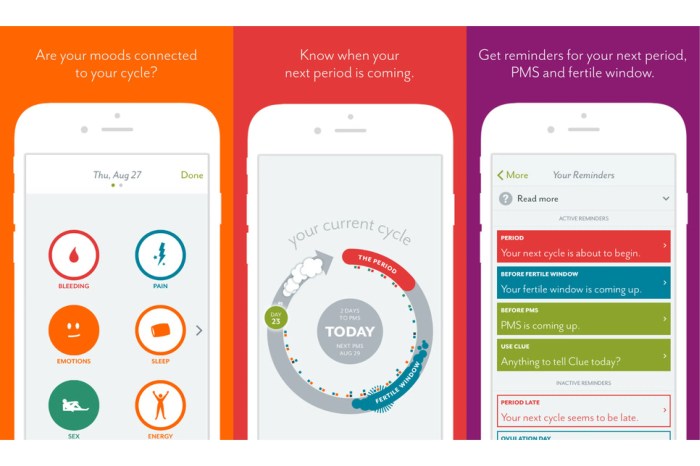 Best organization apps