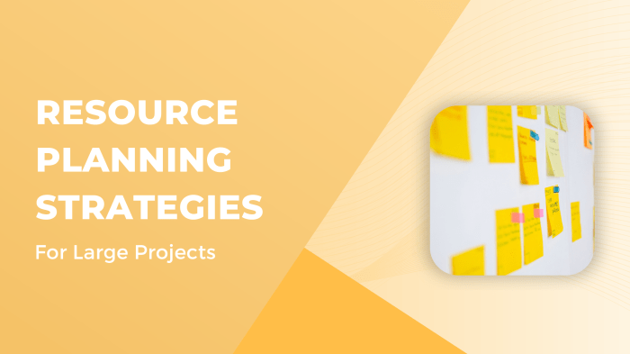 Project resource planning